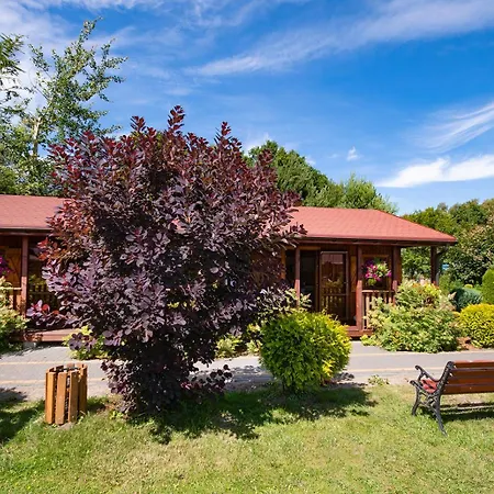 Domki Letniskowe Forest Nad Morzem Darlowo Exterior photo